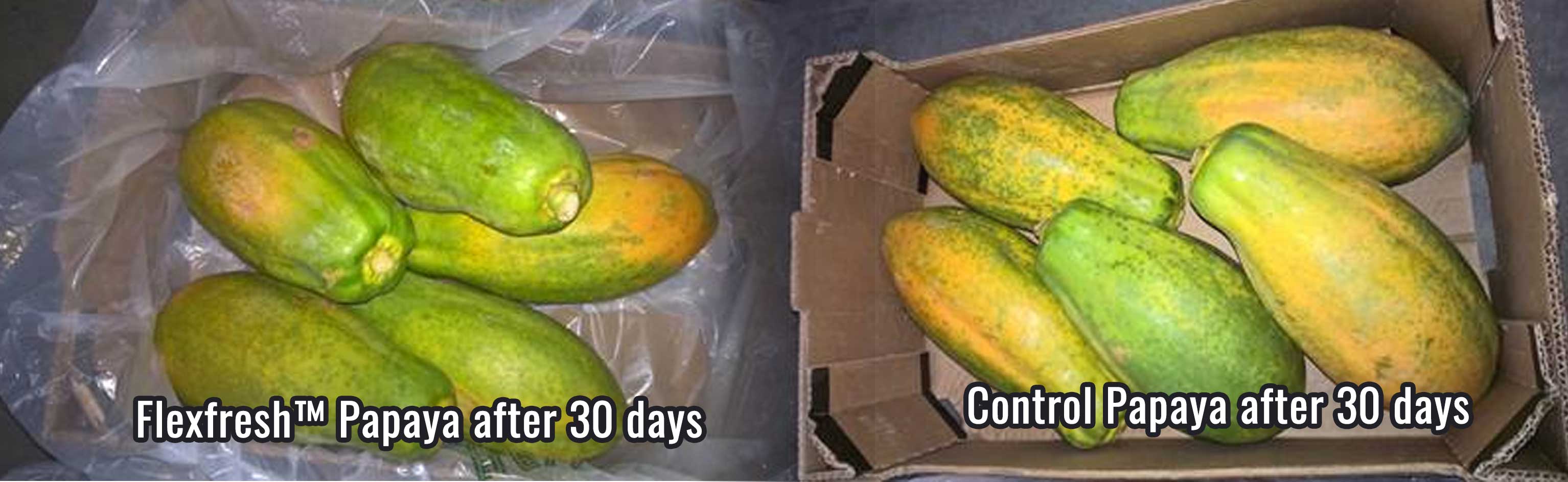 comparing papayas